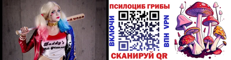 магазин  наркотиков  Карасук  Псилоцибиновые грибы GOLDEN TEACHER 