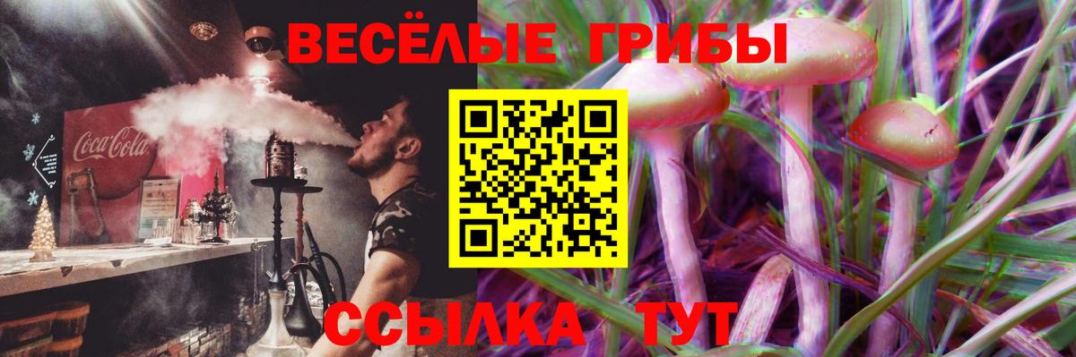 Карасук  Псилоцибиновые грибы мицелий  Вход с VPN 